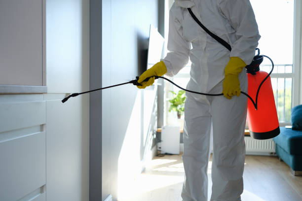 Mold Removal and Inspection in Brandenburg, KY